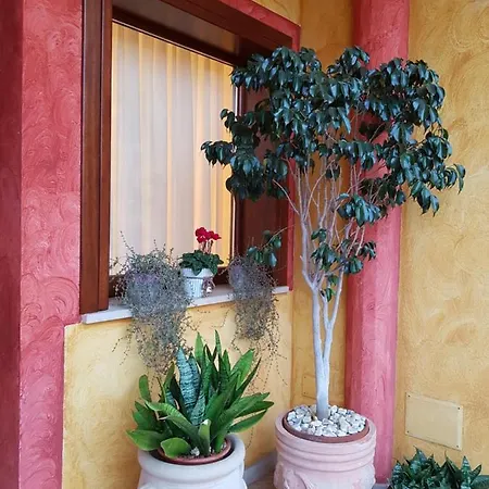 Grace Dell'isola Dei Coralli Gasthof 4*