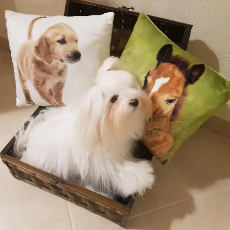 Grace Dell'isola Dei Coralli Affittacamere